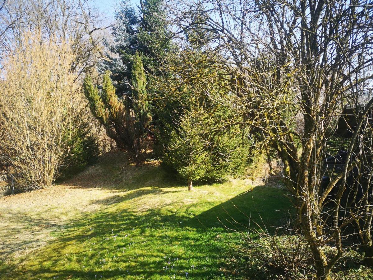 Ferienwohnung Dinkelbergblick Oeflingen Wehr  Екстериор снимка